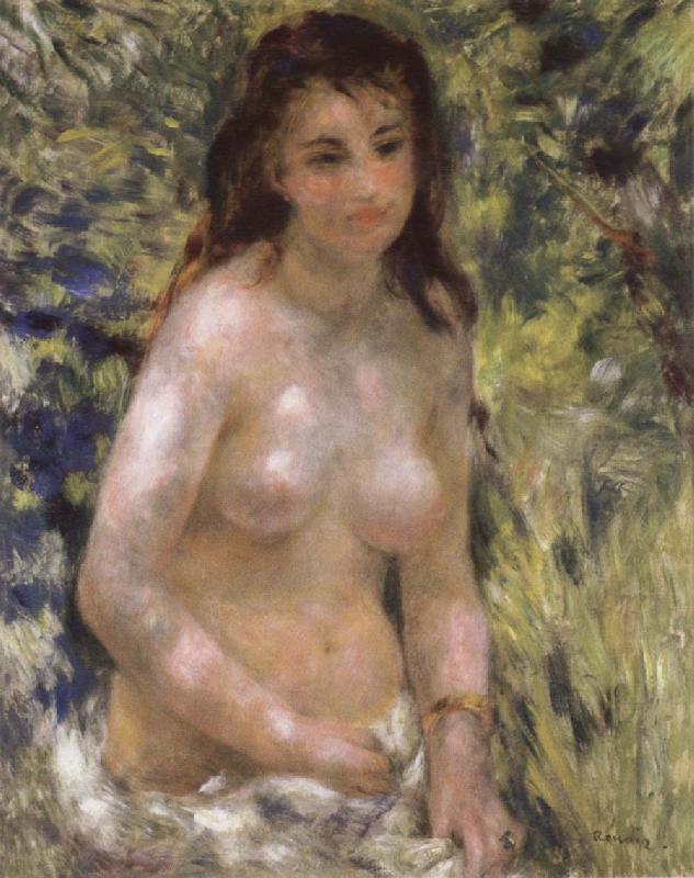 Pierre-Auguste Renoir Nude in the Sunlight oil painting image